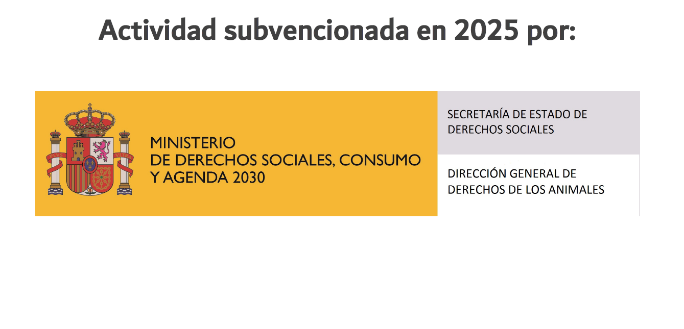 www.mdsocialesa2030.gob.es